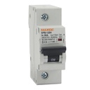 Interruptor automático magnetotérmico. Industrial. Poder de corte 10kA. (EPB125H)